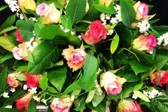 7217B298-F654-4F60-9C23-F0D50843F77E-kopie